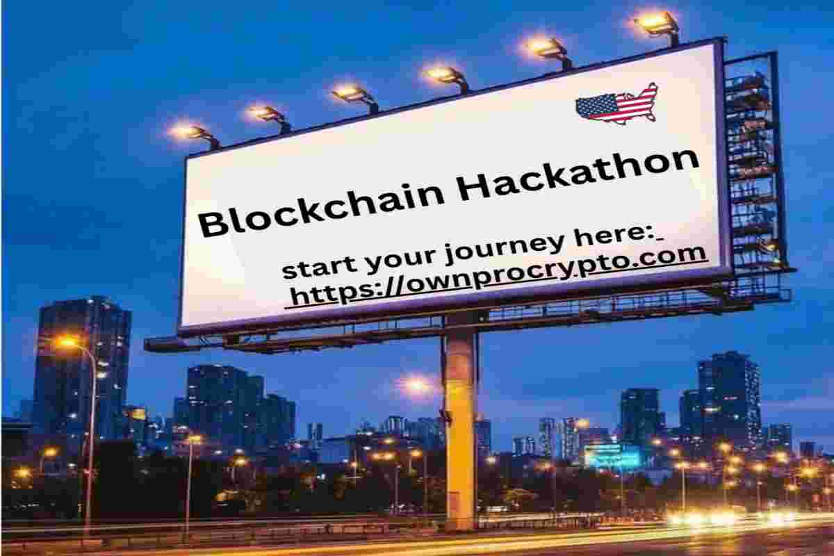 Infographic of Where Beginners Can Start in 2026